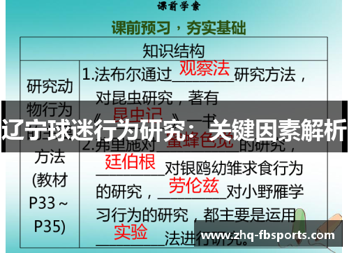 辽宁球迷行为研究：关键因素解析